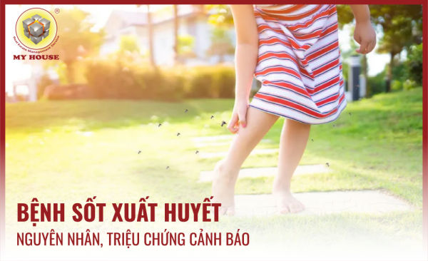 MY HOUSE CẢNH BÁO MÙA DỊCH SỐT XUẤT HUYẾT MY HOUSE CẢNH BÁO MÙA DỊCH SỐT XUẤT HUYẾT