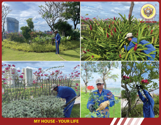 MY HOUSE PHÁT TRIỂN THẢM THỰC VẬT XANH TRONG LÒNG ĐÔ THỊ MY HOUSE PHÁT TRIỂN THẢM THỰC VẬT XANH TRONG LÒNG ĐÔ THỊ