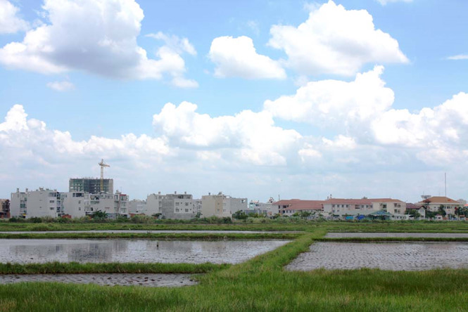 Đổi mới quy định về tách thửa đất tại TP.HCM Đổi mới quy định về tách thửa đất tại TP.HCM