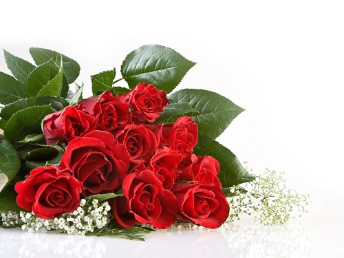 Ý nghĩa ngày 20 10, ngày Phụ Nữ Việt Nam. Ý nghĩa ngày 20 10, ngày Phụ Nữ Việt Nam.