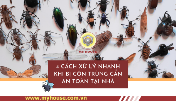 4 cách xử lý nhanh khi bị côn trùng cắn an toàn tại nhà 4 cách xử lý nhanh khi bị côn trùng cắn an toàn tại nhà