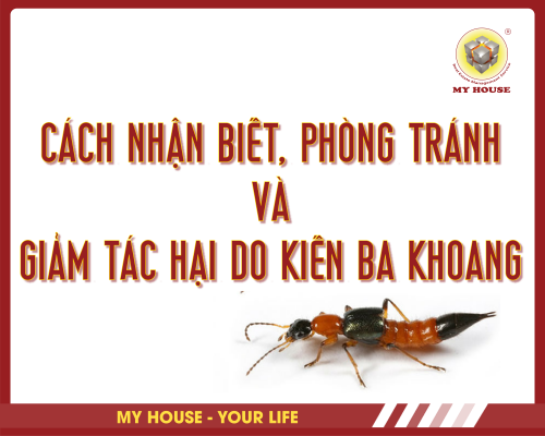 CÁCH NHẬN BIẾT, PHÒNG TRÁNH VÀ GIẢM TÁC HẠI DO KIẾN BA KHOANG CÁCH NHẬN BIẾT, PHÒNG TRÁNH VÀ GIẢM TÁC HẠI DO KIẾN BA KHOANG