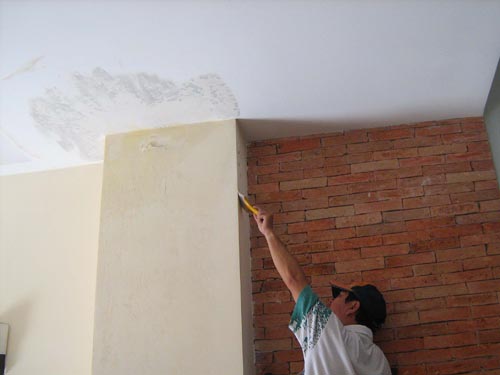 Mẹo tránh ẩm mốc cho nhà bạn Mẹo tránh ẩm mốc cho nhà bạn