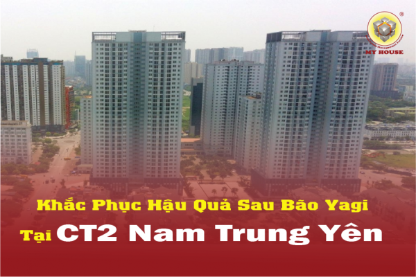 CT2 A10 Nam Trung Yên: Hành Trình Khôi Phục Sau Cơn Bão Yagi CT2 A10 Nam Trung Yên: Hành Trình Khôi Phục Sau Cơn Bão Yagi