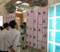 Tư vấn Tư vấn