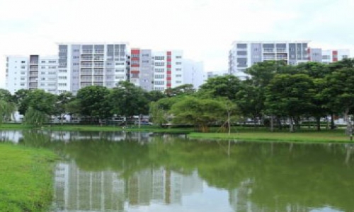 BLOCK D E CELADON CITY BLOCK D E CELADON CITY